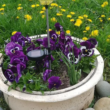 Casa Gemenelor Kluż-Napoka