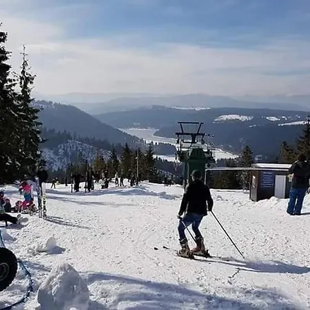 Casa Gemenelor Dom wakacyjny Kluż-Napoka