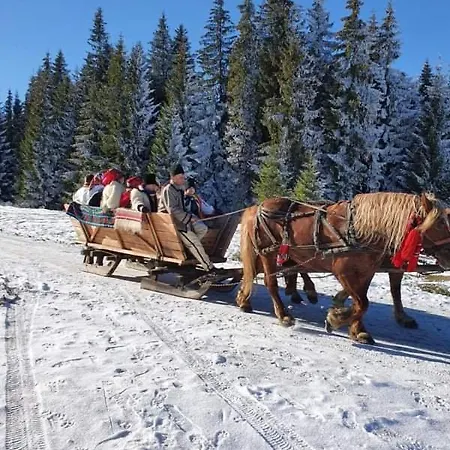 Holiday home Casa Gemenelor Cluj-Napoca