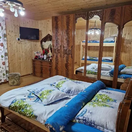 Holiday home Casa Gemenelor Cluj-Napoca