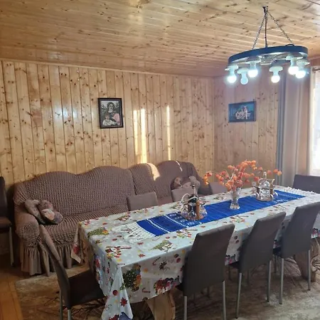 Casa Gemenelor Holiday home *