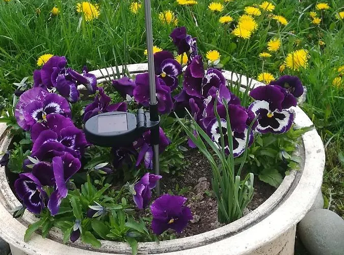 Casa Gemenelor Клуж-Напока