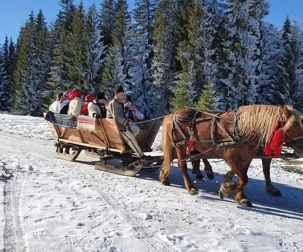 Будинок відпочинку Casa Gemenelor Клуж-Напока