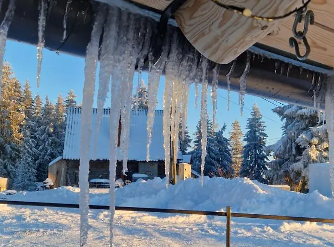 Будинок відпочинку Casa Gemenelor *