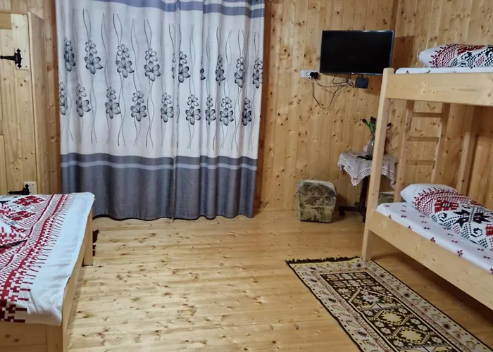 Casa Gemenelor Сasa de vacaciones