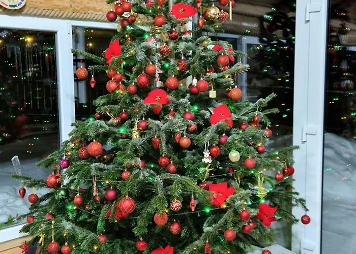 Будинок відпочинку Casa Gemenelor