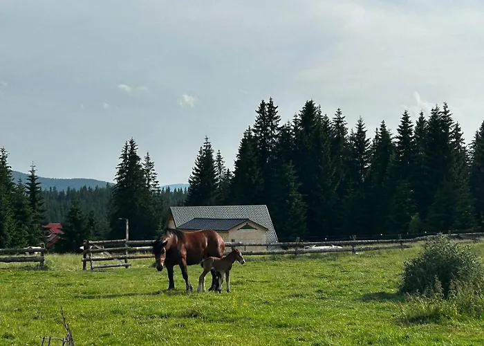 Casa Gemenelor * Клуж-Напока